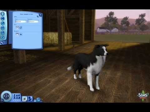 The Sims 3 Pets download free. full Version Mac